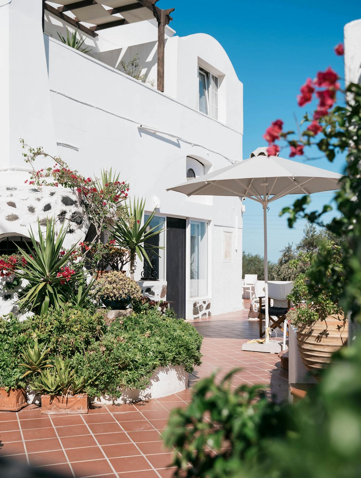 Jardin paysager méditerranéen à Nice